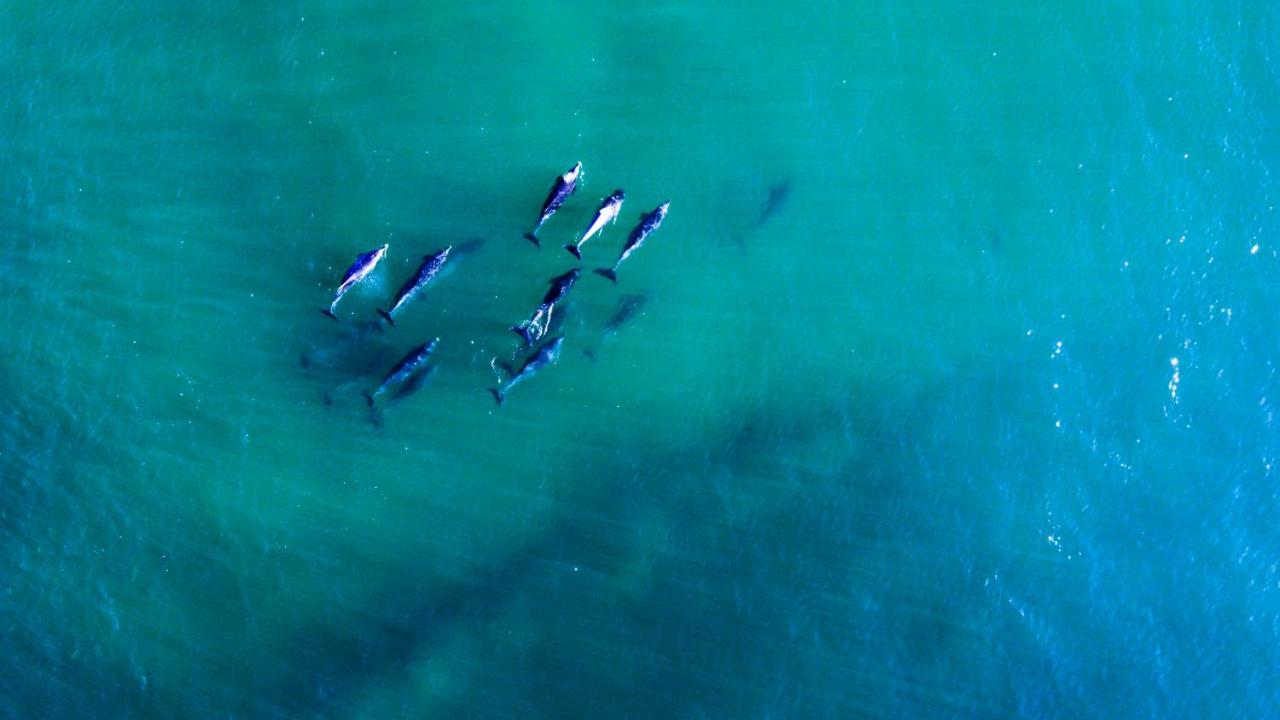 Imperani Leilighet Plettenberg Bay Eksteriør bilde