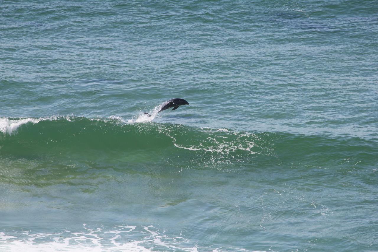 Imperani Leilighet Plettenberg Bay Eksteriør bilde